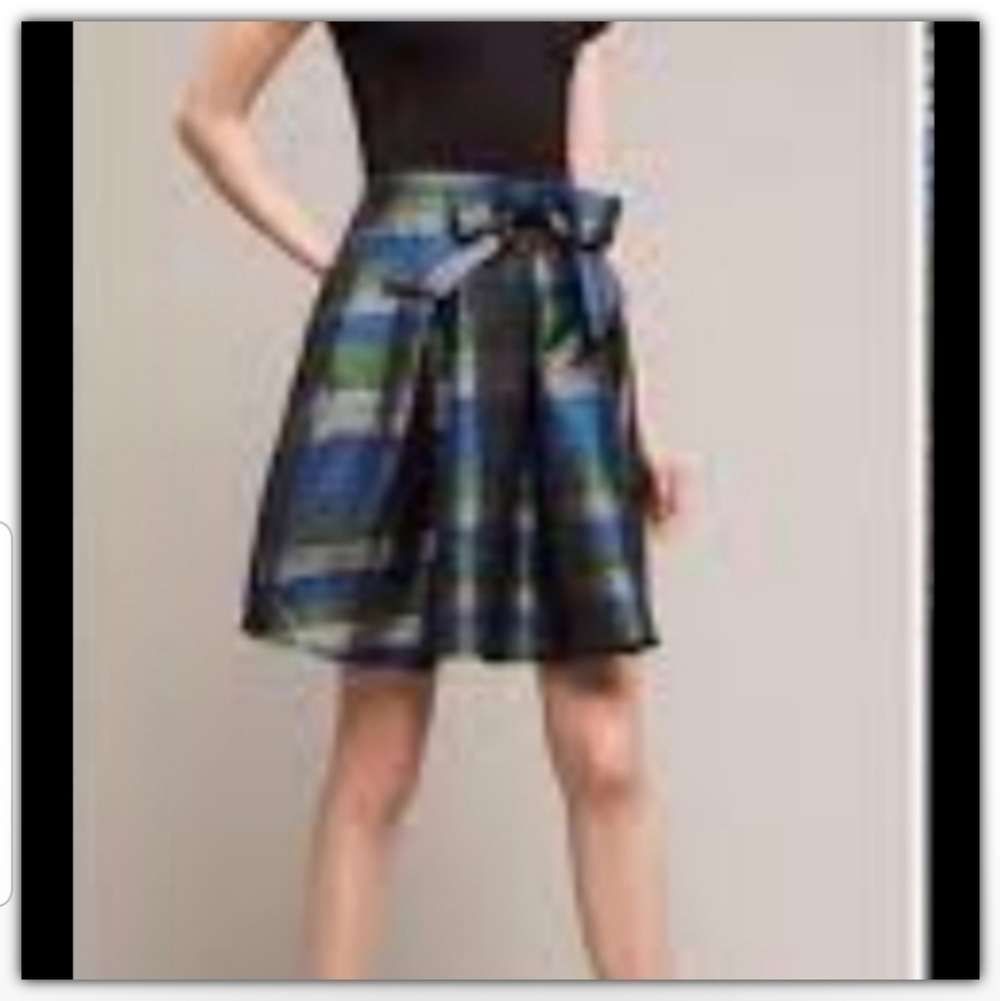 ANTHRO Eva Franco skirt size 2